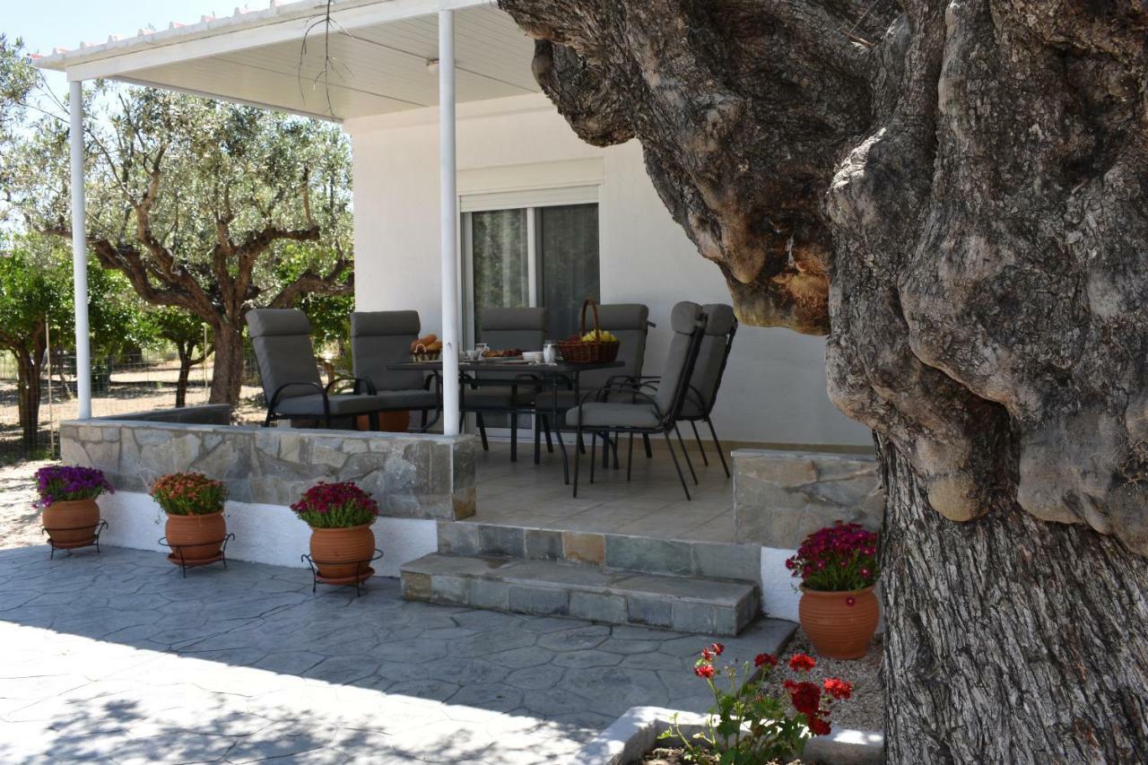 Olive Sense Villa Afantou Exterior photo